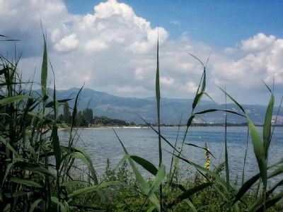 About Gölyaka Village | Atroa Boutique Hotel